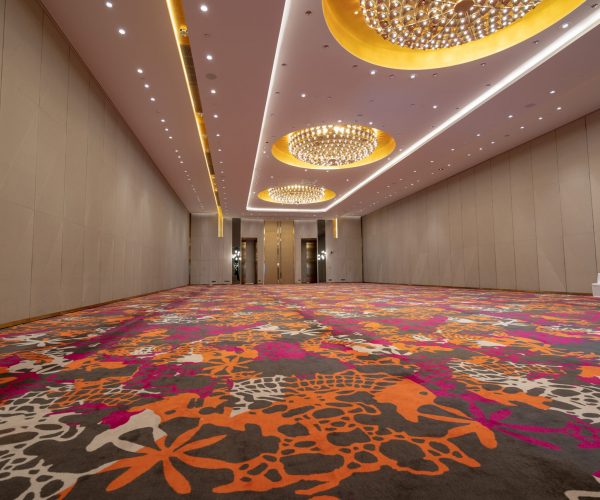 Hospitality Carpet for Function Room